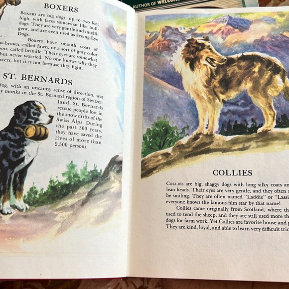 Vintage The Wonders of Nature Hardcover Book 1974 Coffee Table Book oversized - Picture 4 of 16